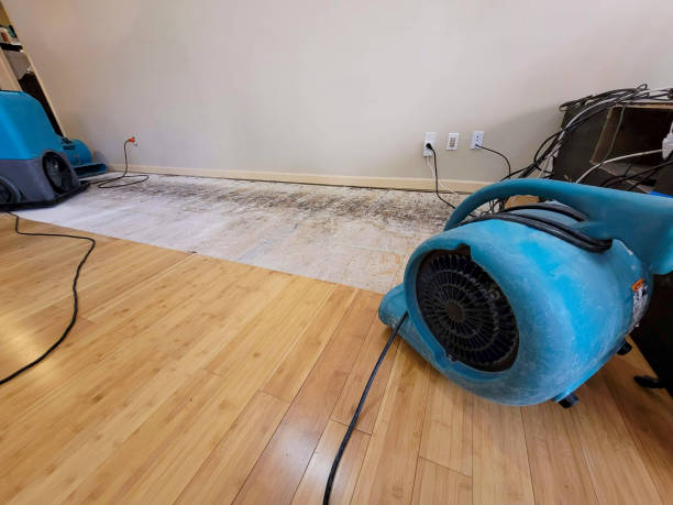Professional Burst Pipe Water Damage technician working in Brinkhaven, OH